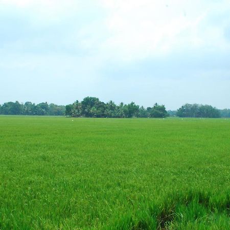 Triveny River Palace Hotel Alappuzha Eksteriør billede