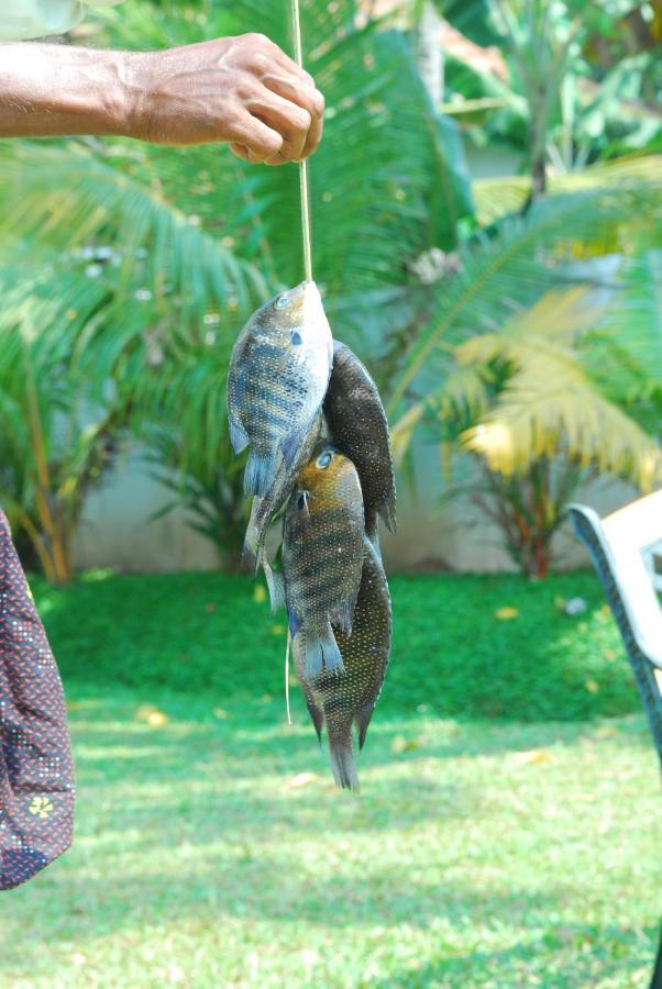 Triveny River Palace Hotel Alappuzha Eksteriør billede